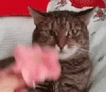 920