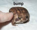 5773